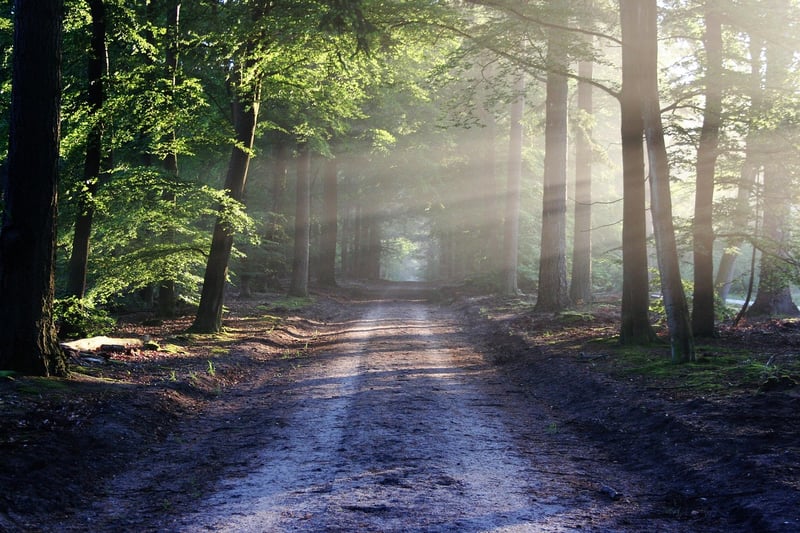 Historical trails